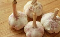 garlic recipe