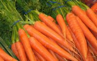 a lots of carrots