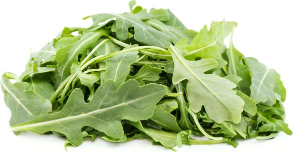 Arugula