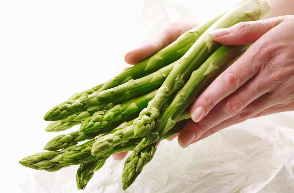 both hands hold Asparagus