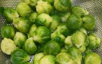 Brussels Sprouts