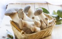 a basket of king oyster mushroom