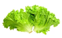 2 Lettuce