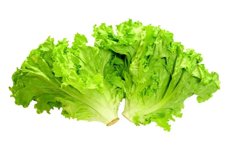 2 Lettuce 