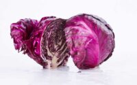 Purple Cabbage