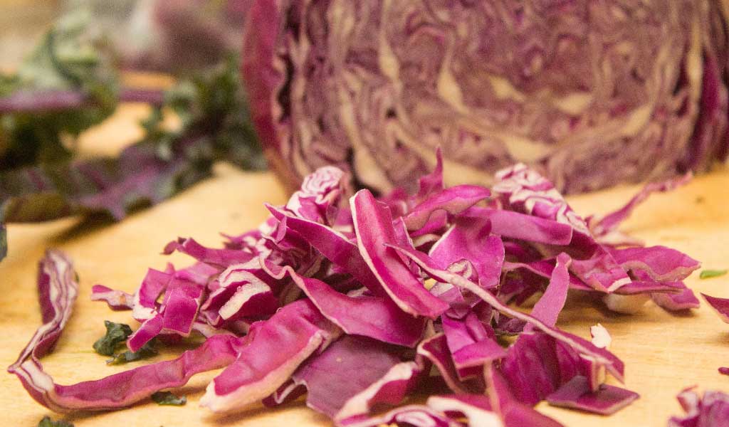  Purple Cabbage