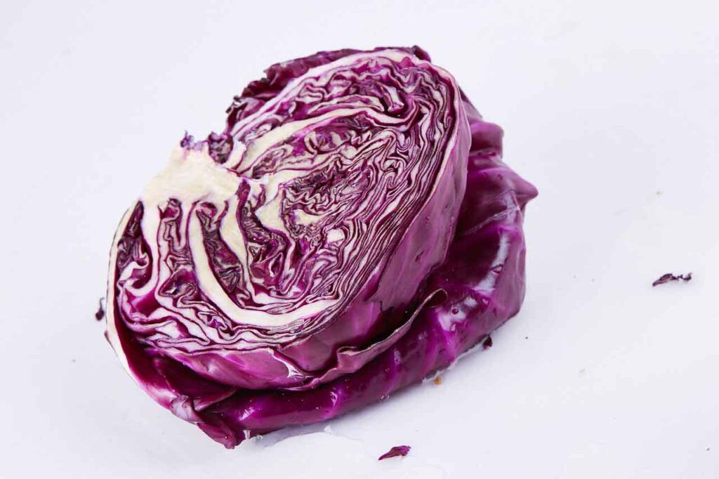  Purple Cabbage