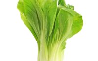 Bok Choy