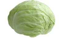 Cabbage