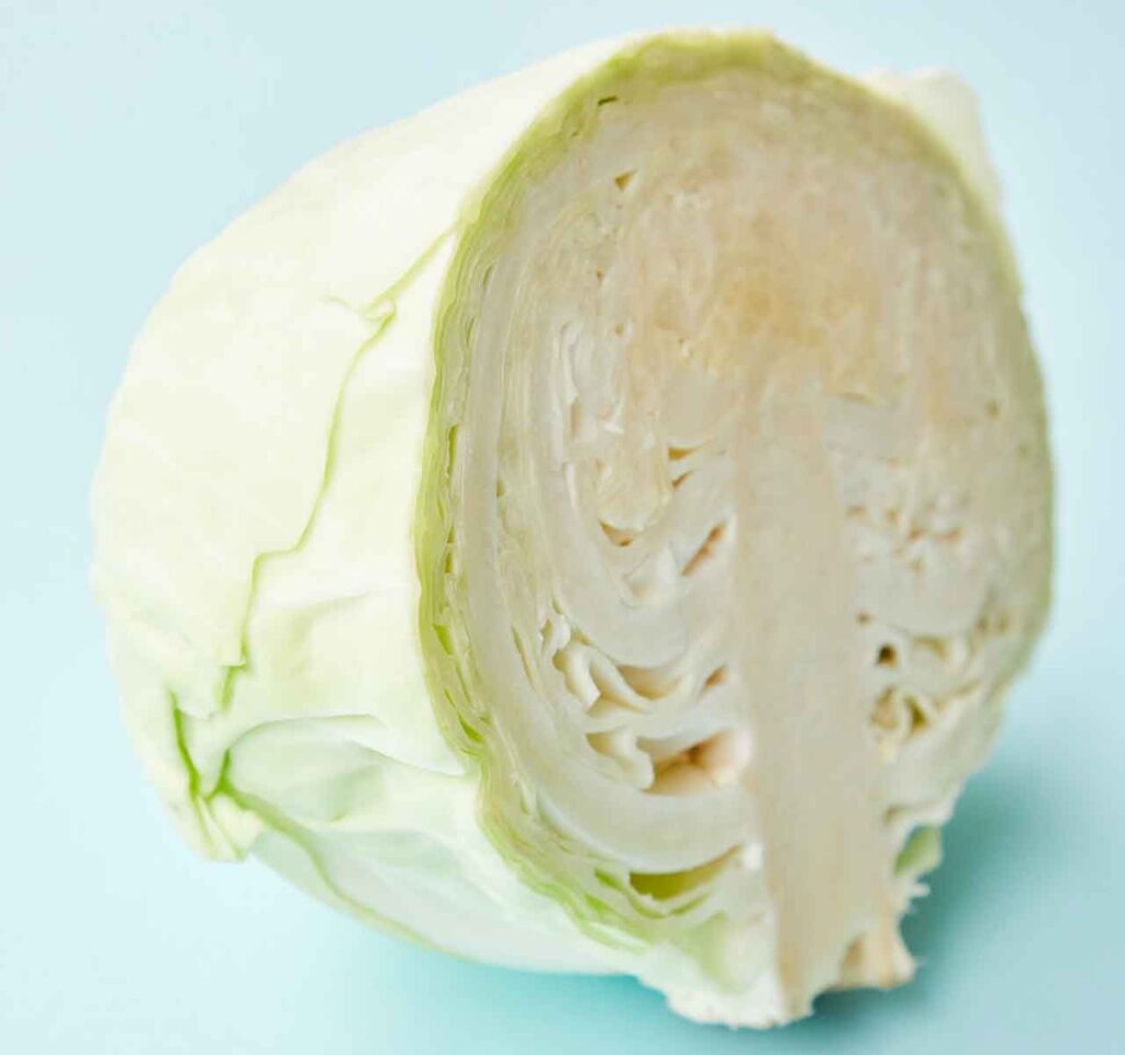 cabbage