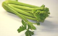 Celery