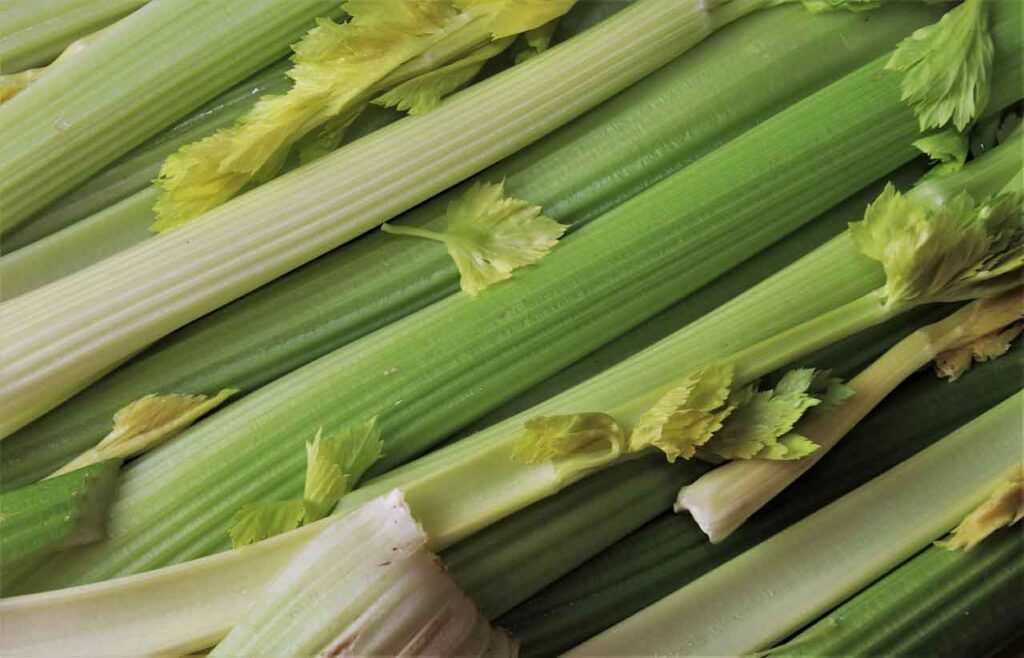 celery