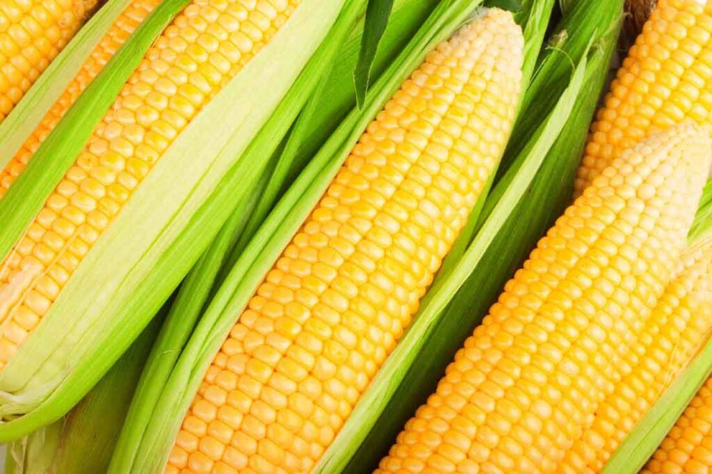 some yellow corns