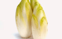 Endive