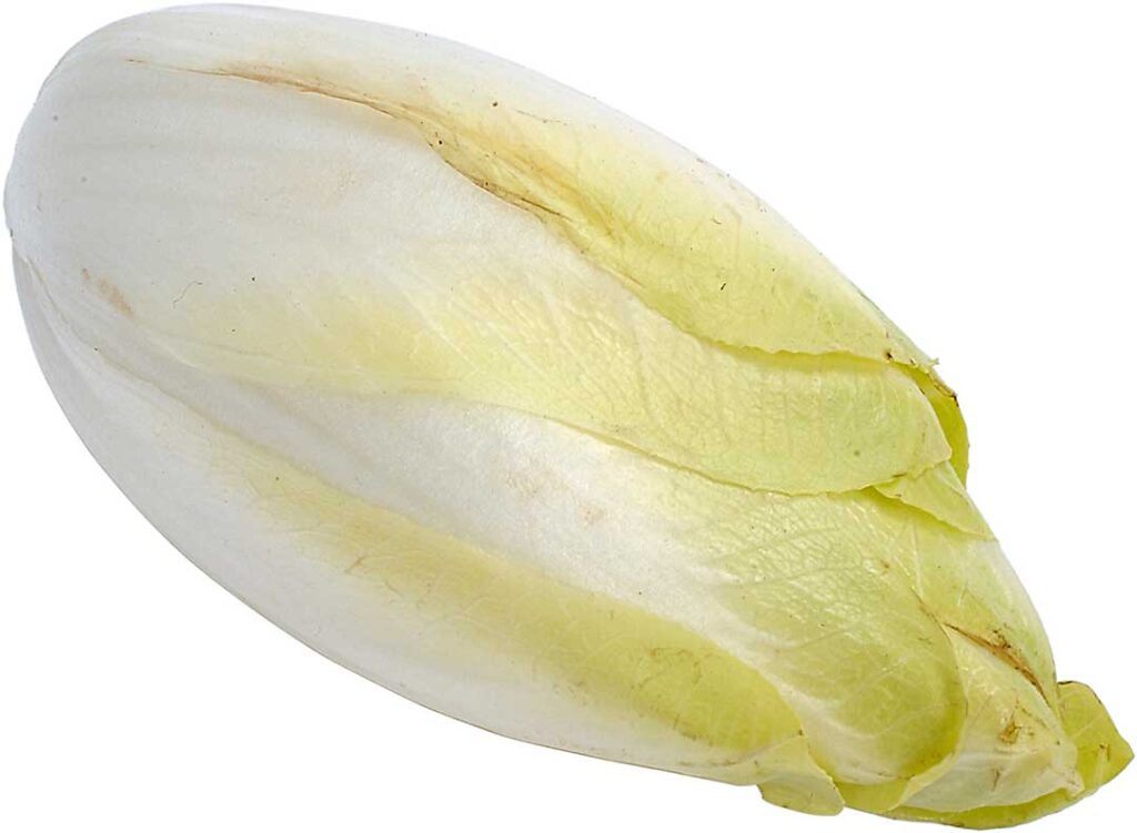 Endive