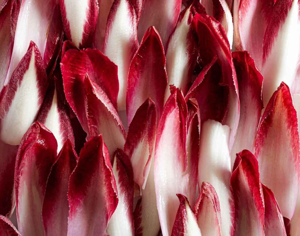 Endive