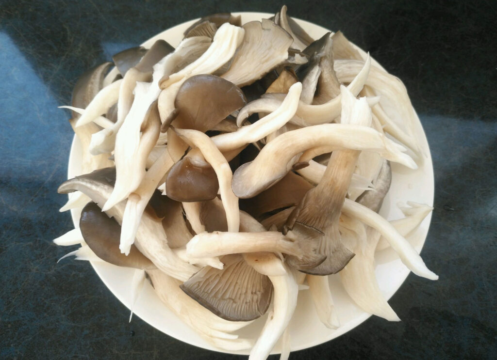 a plate of oyster mushroom 