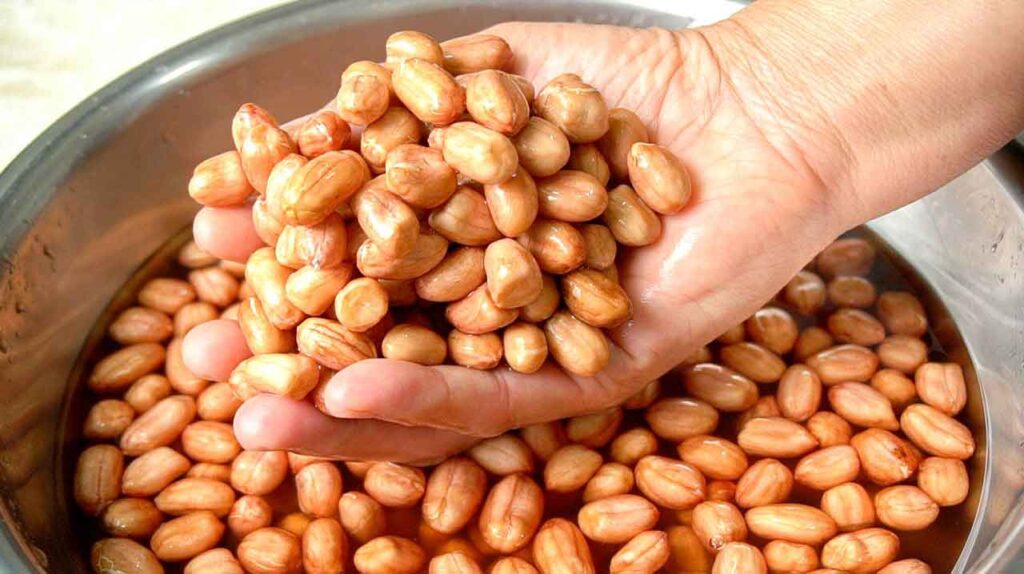 1 hand hold peanuts