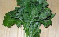 Broccoli Rabe