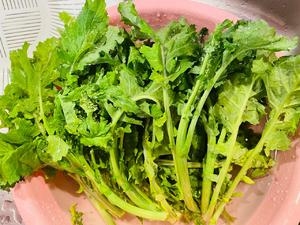 rapini