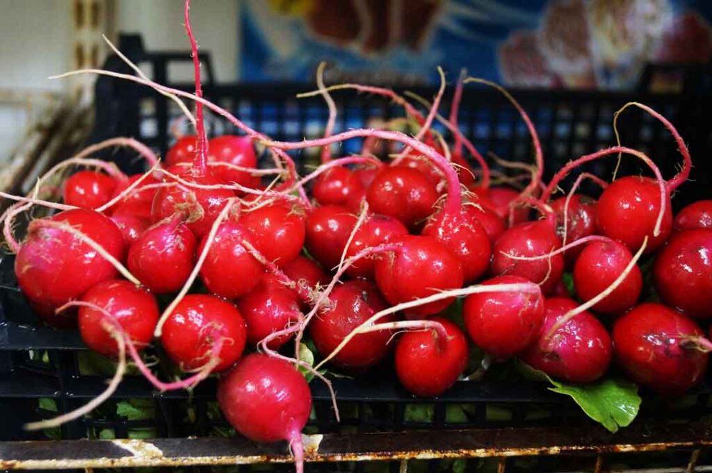 Cherry radish