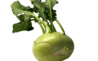 Kohlrabi