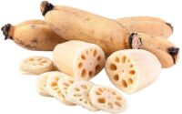 Lotus Root