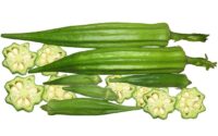 Okra