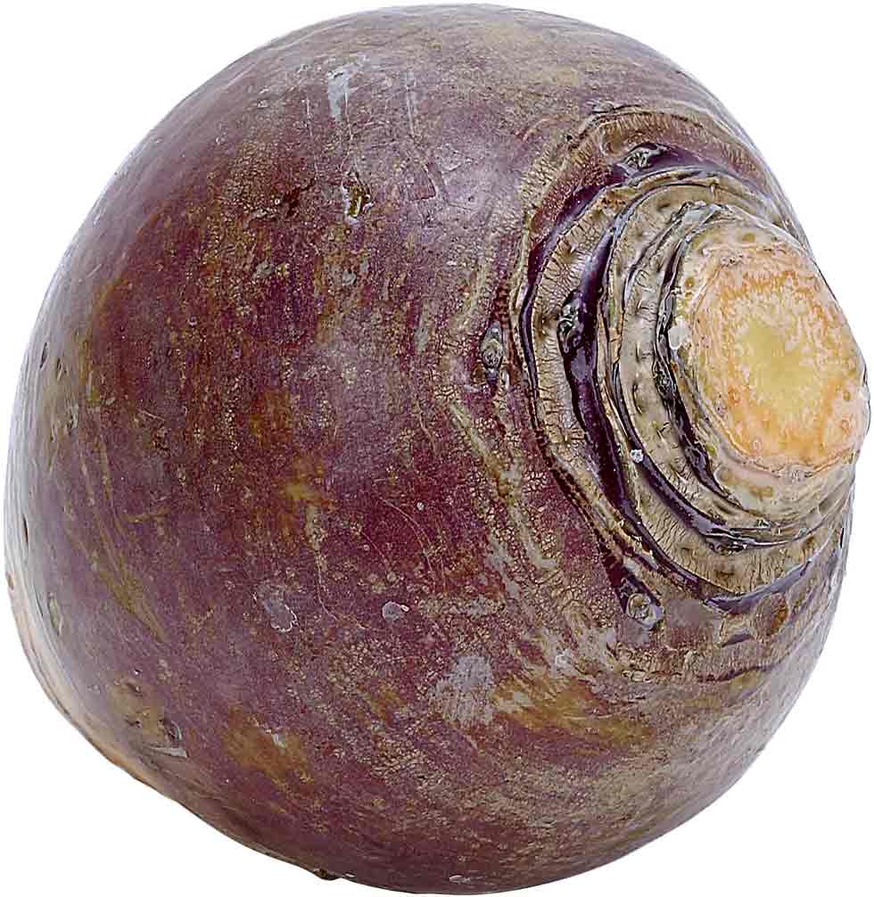 Rutabaga