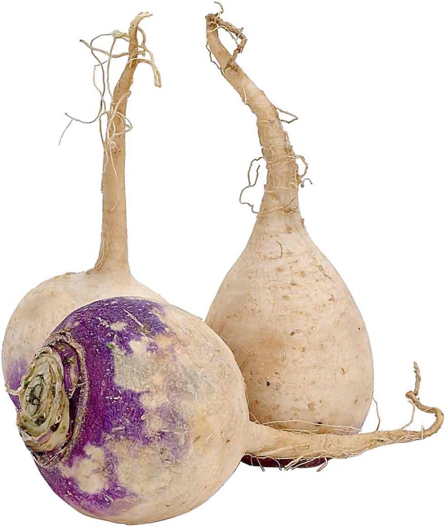 Rutabaga