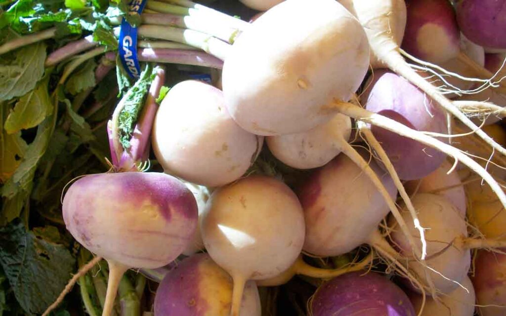 Turnip