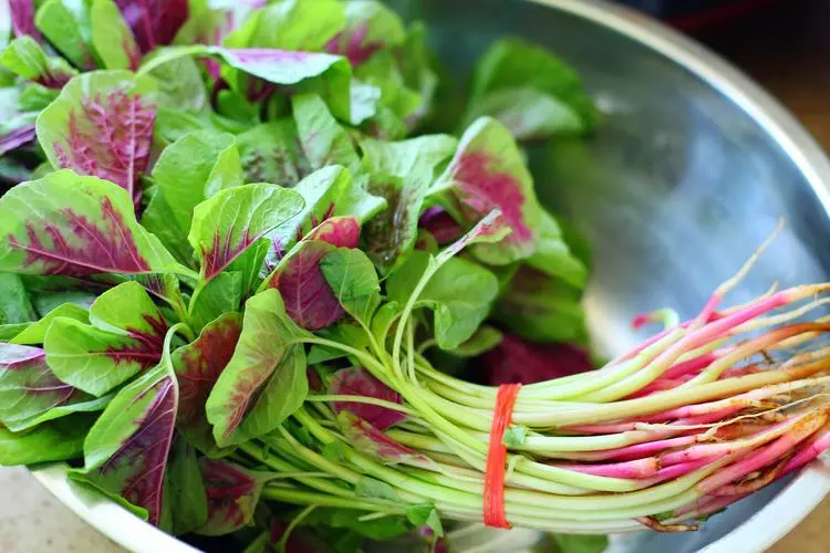 Amaranth leaves