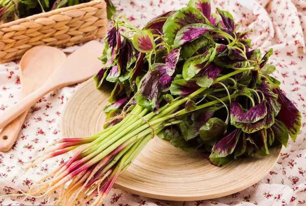 Amaranth leaves