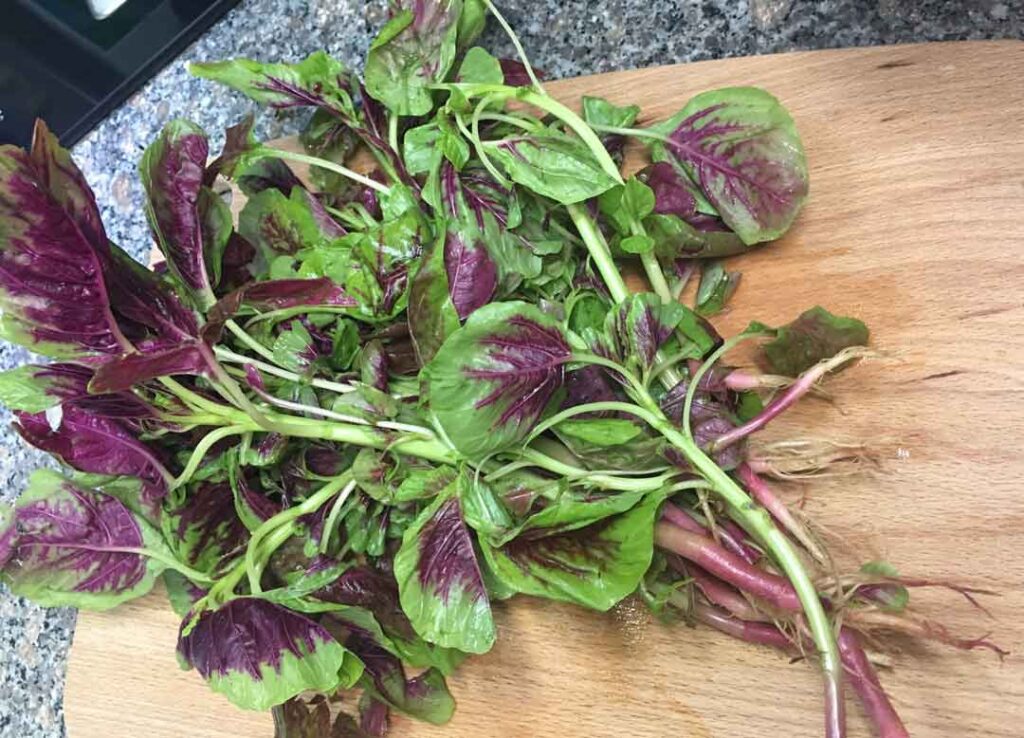 Amaranth leaves