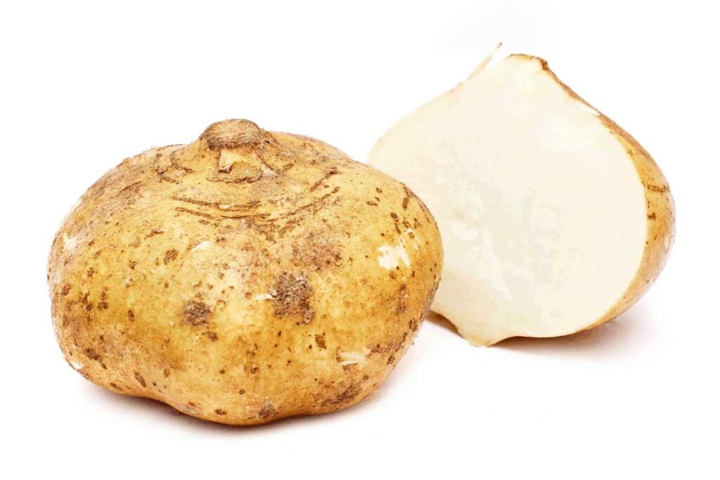 Jicama 